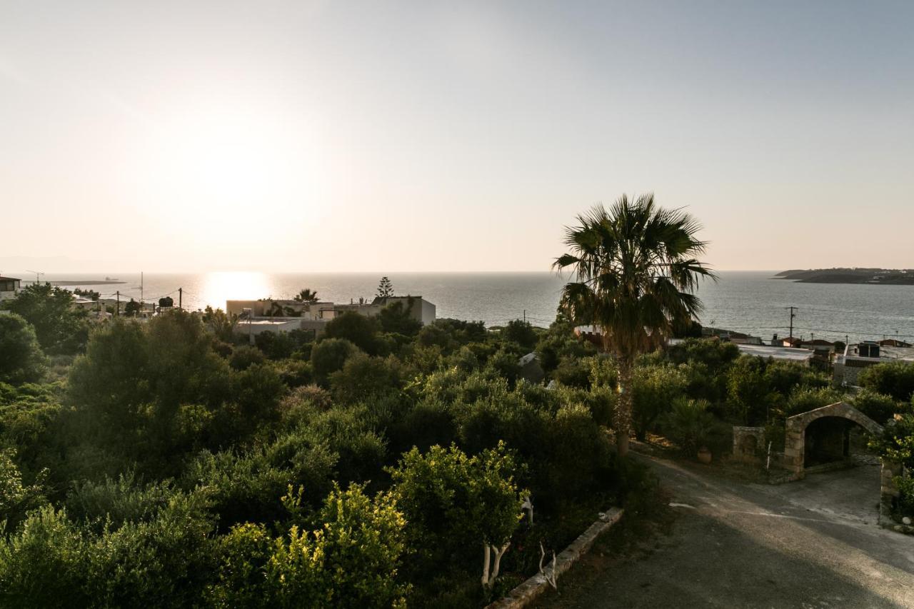 Creta Vitalis Kalathas Exteriér fotografie